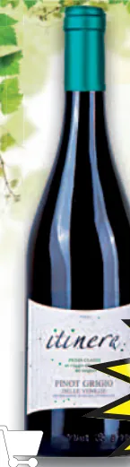 Pinot Grigio